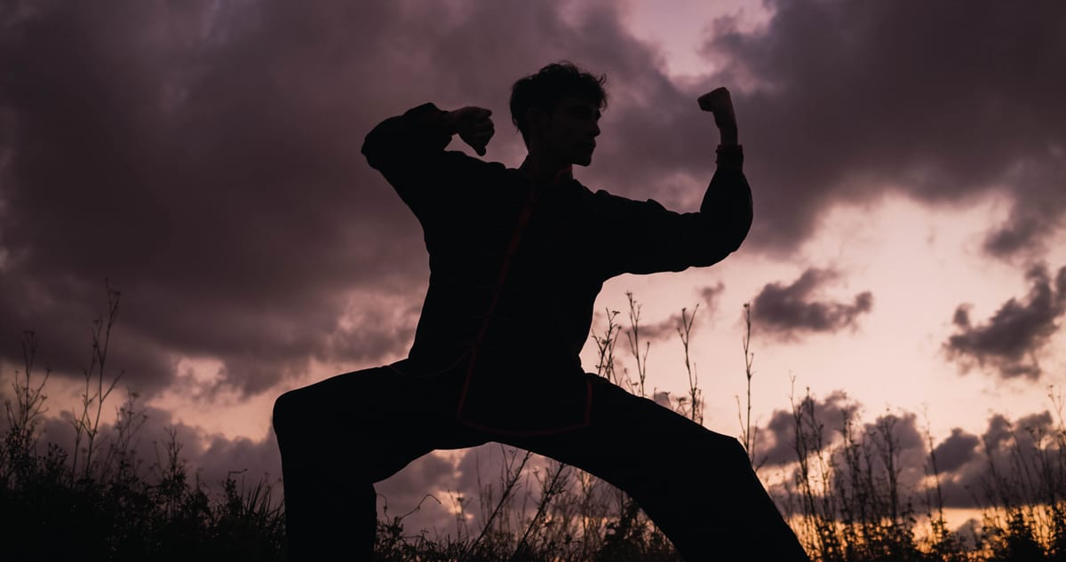 A silhouetted adult practising martial arts outdoors at dusk